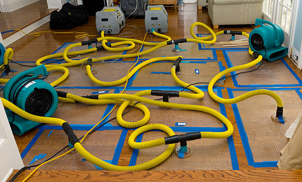 Professional Water Damage Repair technician working in Plympton, MA